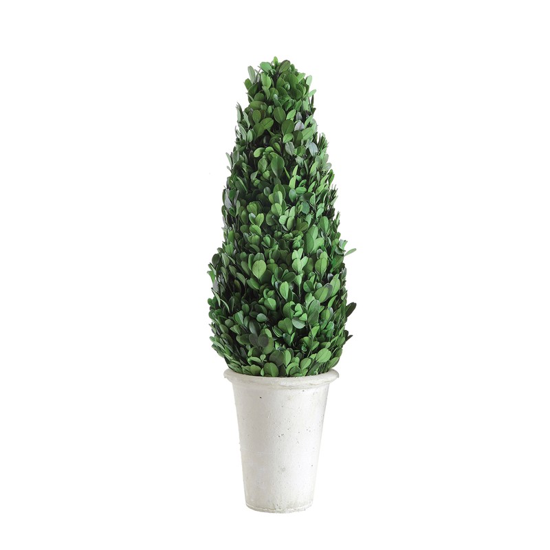 Creative Co-Op Boxwood Topiary in Clay Pot