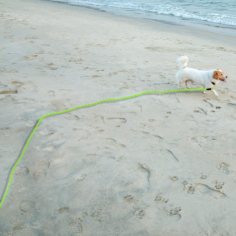 Vivifying Floating Long Dog Leash, 32ft Dog Training Leash for