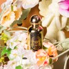 CLESH Body Spray for Women, Fragrance Mist, Blossom Dreams, 120ml/4.2