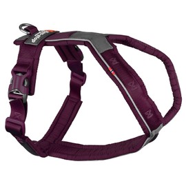 Non-stop dogwear Line Harness 5.0 |215| Guide and Everyday Harness in Purple, Size: G 6