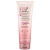 Giovanni 2Chic Frizz Be Gone Shampoo, 250ml