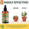 𝐁𝐄𝐒𝐓𝐒𝐄𝐋𝐋𝐄𝐑 Plant Superfood for Olive Tree with B1 Vitamin, Glucose