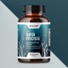  Snap Supplements Organic Irish Sea Moss Capsules for Thyroid Support