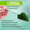 MAJU Organic Spirulina Powder (8oz) Healthcare Dietary Supplement Edible Fitness