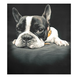 Naanle Dishwasher Magnet Cover Animal French Bulldog Front Dishwasher Cover Magnetic Home Cabinet Decals Appliances Stickers Refrigerator Decorative 23" x 26"