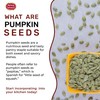Spicy World Raw Pumpkin Seeds 5 LB Bag - Shelled,