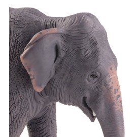 Mojo 387266 Asian Elephant Animal Figure