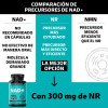 NAD+ | NR Nicotinamida Ribosa | Suplemento Alimenticio Premium con