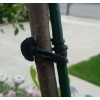 Tree-Fix Plant Support Rubber Bands Trellis Vine Clips Garden Vegetable