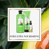 Herbal Essences Bio:renew Potent Aloe + Avocado Oil Hair &