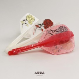 CONDOR Gerbera & Statice Small M MIX Shizuka Kondo Player Model Condor Flights Gerbera & Sturchis