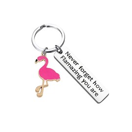 Flamingo Keyring, Inspirational Keyring You Are Amazing Keychain Gifts for Men Women Son Daughter Colleague Families,Stainless Steel Keychain for Christmas Birthday Valentine Graduation Festival Gift