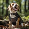 Joytale Reflective Dog Collar, Soft Neoprene Padded, Metal D-Ring, Nylon