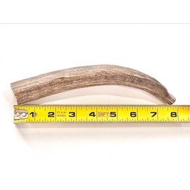 HEARTY CHEWS Deer Antler for Dogs | 100% Organic Grade A Antler | Natural Dog Chew | Supports Teeth & Gum Health, Long Lasting Dog Treat | Edible Puppy Toy - Large (About 6-8 inches)