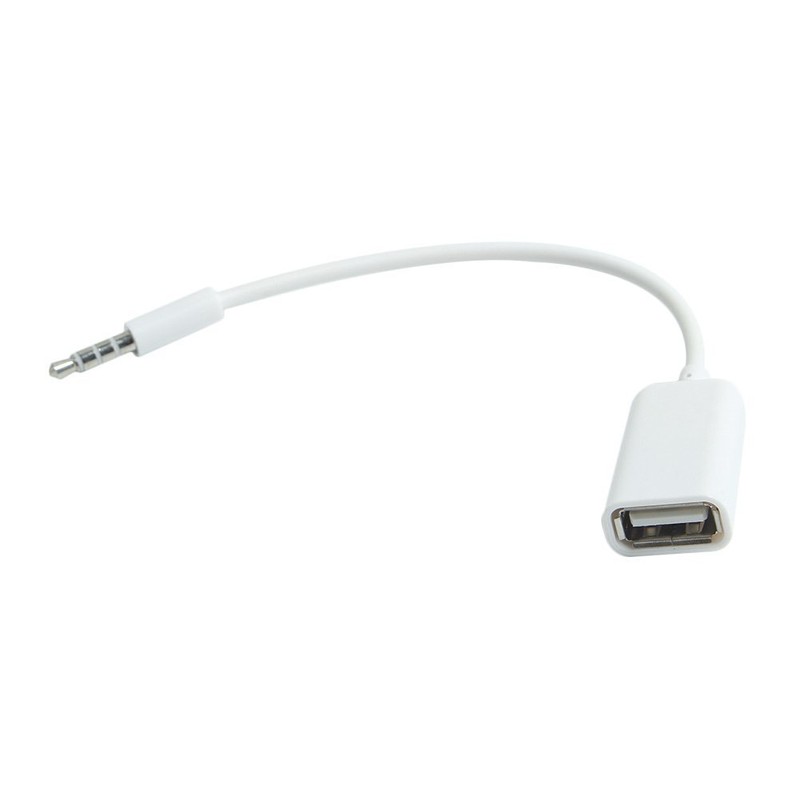 FYL 3.5mm AUX端子用オーディオプラグジャック（オス）からUSB2.0（メス）への変換ケーブルコード