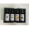 Essential Oils Set-Essential Oils- Perfect for Diffuser,Candle Making,Soap Making -Eucalyptus,