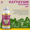Katyayani Rhizobium Bio Fertilizer (5 x 10 ^ 8 CFU