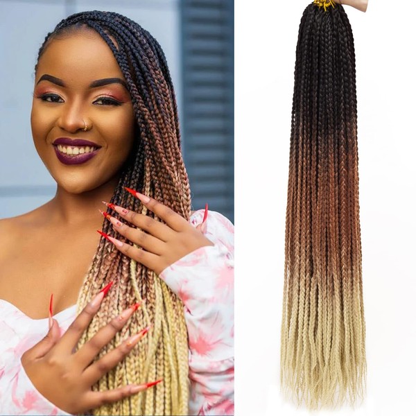 Box Braids Crochet Hair 6Packs Crochet Box Braids 22Inch Pre-looped