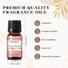 EUQEE Strawberry Essential Oil Strawberry Aroma Oil for Aromatic Aroma