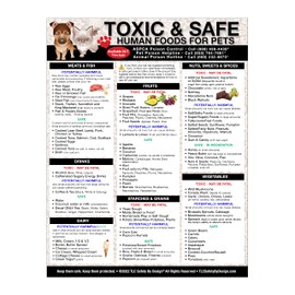 Magnetic List of Toxic Safe Harmful Foods for Pets - Dog Cat Feeding Chart - People Food Dogs Cats Should Not Eat - Chart Decorative Magnets - Pet Safety - Pet Adoption Essentials Gift 8.5 x 11 inches