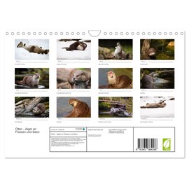 Otter - Hunter on Rivers and Lakes (Wall Calendar 2026 DIN A4 Landscape), CALVENDO Monthly Calendar