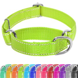 Seyezo Martingale Dog Collar - Adjustable No Buckle, Reflective Heavy Duty Nylon No Pull Collar for Small to Large Dogs, XS, Green