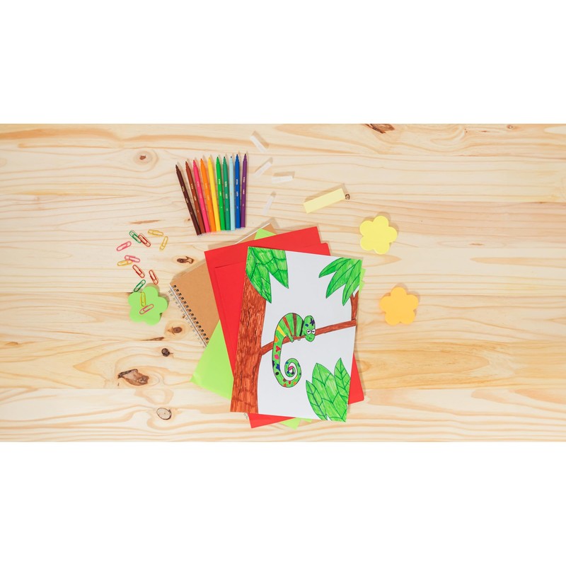 BIC Kids Visa Felt Pens - Assorted Colours, Wallet of