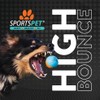 SPORTSPET High Bounce Natural Rubber Dog Balls (6 Pack High