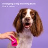 Tangle Teezer | Pet Teezer | Detangling and Dog Grooming