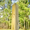 BestNest 4 x 4 Mounting Post, Treated Pine, 95" –