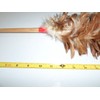 Real Chicken Hen's Feather Duster 24 Inch Long Total Length,