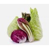 Italian Radicchio and Endive Chicory Mix Seeds for Planting About