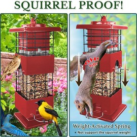 Squirrel Proof Bird Feeders, Bird Feeder for Outside with Weight Activated Spring, 5 Lbs Birdseed Capacity, Metal Birds Feeder for Outdoors Hanging Wild Birds Feeder for Cardinal, Finch, Sparrow, Red