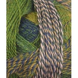 Schoppel Wolle - Zauberball Crazy Knitting Yarn - Green/Navy/ Peach (# 2292)
