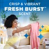 ARM & HAMMER Odor Blasters In-Wash Scent Booster, Laundry Scent