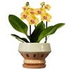 Gepege 6.5 Inch Orchid Pots with Holes for Indoor Plants,