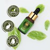 Old Tree Basil Essential Oil, 15 ml