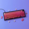 Keycaps 135 Keys PBT Letter Side Print Shine Through Keycaps