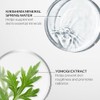 Shiseido Treatment Softener
