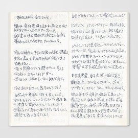 Traveler's Company Traveler's Notebook Refill 013, Lightweight Blank Paper, 128 Pages