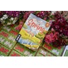 DEVIR Pocket: Spring – Gioco di Carte Strategico per 2
