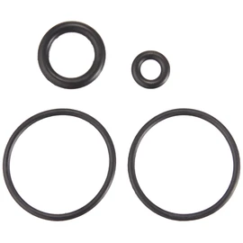 Bearing 69080 O-Ring for Refresh Set