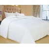 Natural Comfort White Down Alternative Comforter with Embossed Microfiber Shell,