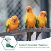 ibasenice Automatic Cockatiel Dispenser - 10PCS Practical Birds Feeders Drinker