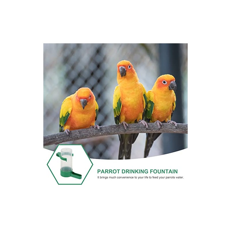 ibasenice Automatic Cockatiel Dispenser - 10PCS Practical Birds Feeders Drinker