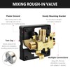 Shower Valve Body for D Shower Faucet, Works with D