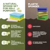 Dr.Hygi® Pop Up Sponges - 6-Pack Eco Sponges Set -