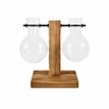 Desktop Hydroponic Plant Propagation Vase with Wooden Stand and 2