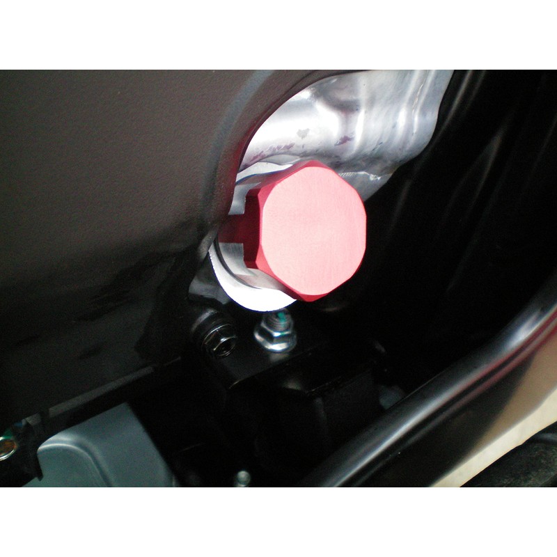GenExhaust Compatible with Honda EU6500iS/EU7000iS Generator - Anodized Easy USE