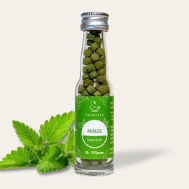 TEABALLS - Mint, Natural Cloudy (1 x 11g) | Approx. 150 Teaballs | For Approx. 30-75 Cups of Tea | 100% Pure Vegetable | As Known from: Das Ding des Jahr